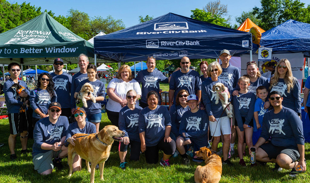 Team RCB at the 2019 Doggy Dash (photo credit: photos@alpha73.com)