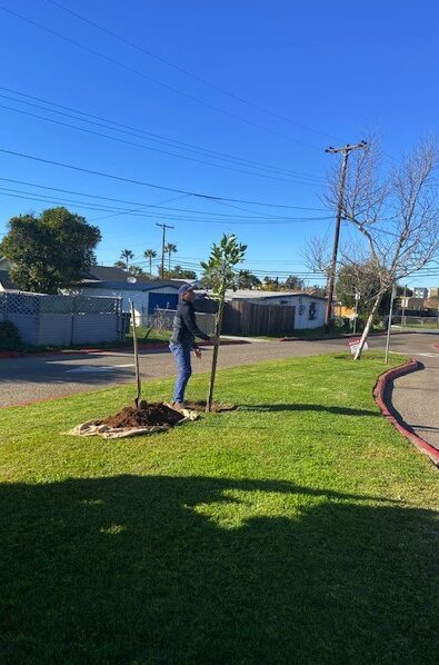 To commemorate the launch and our sustainable future, the mayors of all the member cities planted trees in local community parks.