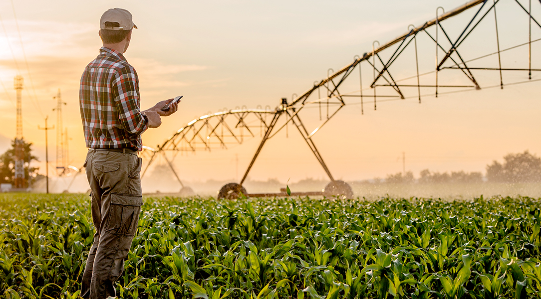 Agribusiness Image